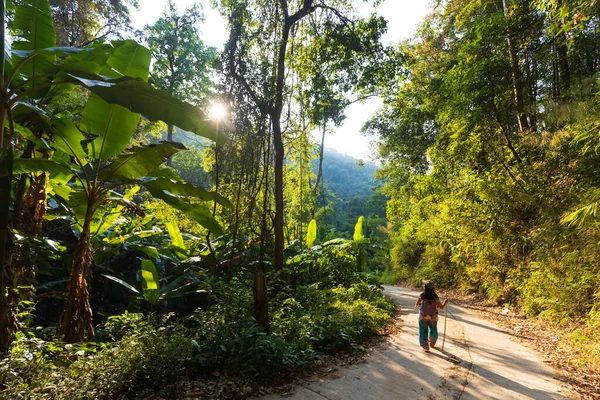 Mulher Trekking Sozinho Selva Chiang Dao Tailândia — Fotografia de Stock