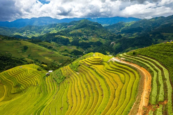 越南Sapa附近La Pan Tan稻田的空中景观 — 图库照片