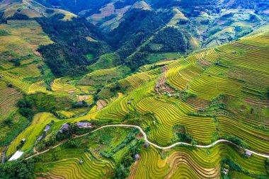 Sapa, Vietnam yakınlarındaki La Pan Tan 'ın pirinç tarlası manzarası.