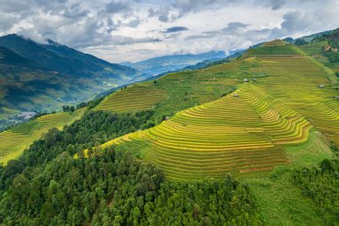 Sapa, Vietnam yakınlarındaki La Pan Tan 'ın pirinç tarlası manzarası.