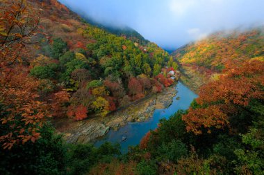 Japonya, Kyoto yakınlarındaki Arashiyama 'nın renkli sonbahar manzarası