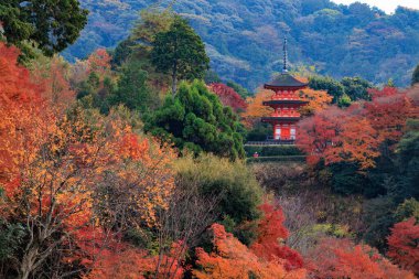 Kyomizudera Koyasunoto Pagoda, Kyoto 'da renkli sonbahar manzarası