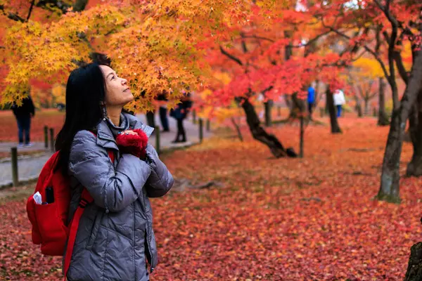 Kvinna Njuter Den Livfulla Färgstarka Hösten Japan Royaltyfria Stockfoton