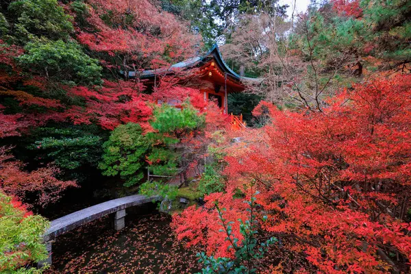 Japonya Kyoto Daki Bishamondo Tapınağı Nda Canlı Kırmızı Sonbahar Yeşilliği Telifsiz Stok Fotoğraflar