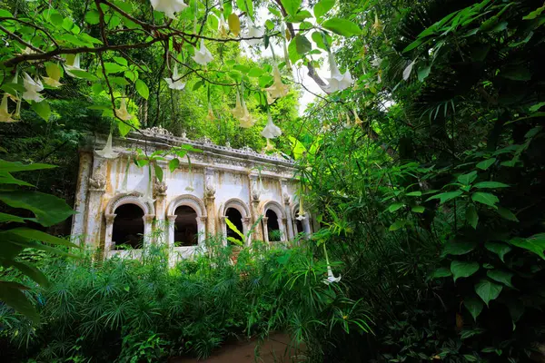 タイのジャングルにあるワット ラット寺院 ロイヤリティフリーのストック画像