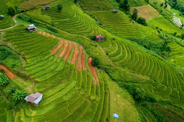 泰国北部Baan Pong Piang梯田上空无人驾驶飞机景观 — 图库照片