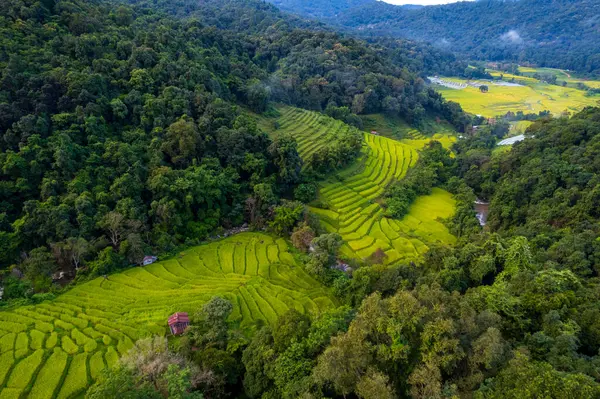 Aerial Drone Shot Teraced Ricefield Mae Klang Luang Village Doi Imagen de stock
