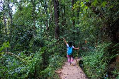 Alacakaranlıkta yağmur mevsiminde Doi Inthanon tropikal yağmur ormanlarında yalnız başına yürüyüş yapan bir kadın. Tayland