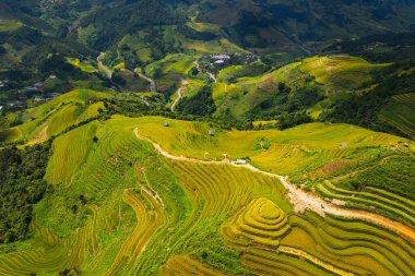 Sapa, Vietnam yakınlarındaki La Pan Tan 'ın pirinç tarlası manzarası.