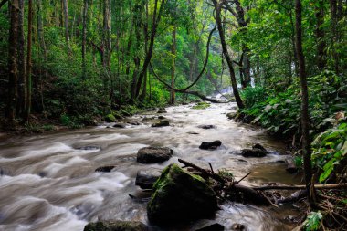 Yağmur mevsiminde Doi Inthanon Milli Parkı 'nda nehir, Tayland