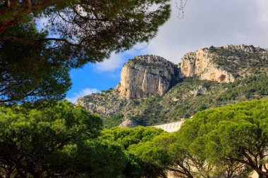 Monako 'daki Tete de Chien Dağı' nda çam ağacı ormanı ve sarayın manzarası var..