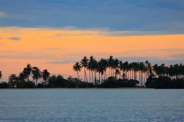 Koh Yao Yai adası, Phang Nga Körfezi, Tayland 'da uzun bir palmiye ağacı sınırı ile okyanus üzerinde gün batımı