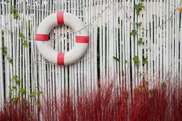Zwemmen Rubber Versierd Witte Bamboe Muur Rood Nep Gras — Stockfoto