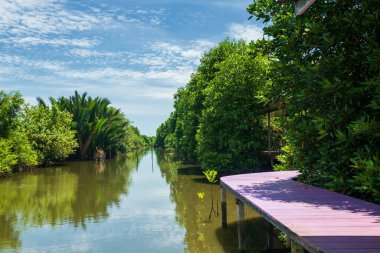 Mavi gökyüzüne, Chanthaburi 'ye, Tayland' a karşı nehir ve mangrov ormanları boyunca tahta patika..