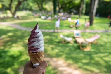 Bahar bahçesinde waffle külahında iki ton siyah dut ve sütlü dondurma..