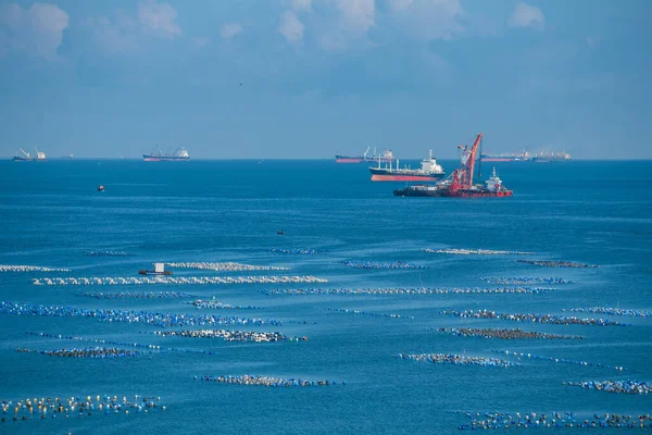Mosselen Shell Boerderij Met Marine Olievaartuigen Logistieke Vrachtschepen Blauwe Zee — Stockfoto