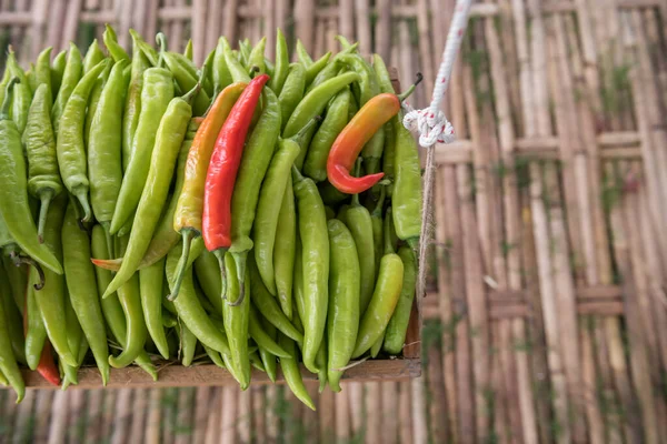Органические Зеленые Красные Чили Висят Деревянной Корзине Продажи Органические Овощи — стоковое фото