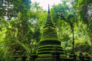 Antik pagoda, Tayland, Chanthaburi 'deki Phlio şelalesi ulusal parkında yosun ile bağlanmış. Siyam ya da Tayland 'ın doğusunda ünlü bir seyahat yeri..