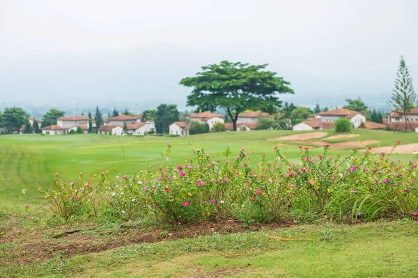 Flower plants at the fairway of a golf course near houses in valley with fog in late evening, Khao Yai, Nakhon Ratchasima, Thailand.