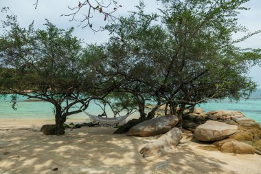 Yazın, Ko Man Klang, Rayong, Tayland 'da, ağaçta, deniz kıyısında. Meşhur seyahat yeri ve Siam 'da yaz tatili.