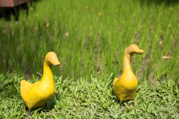 Artificial yellow ducks by paddy rice field. Farm decoration