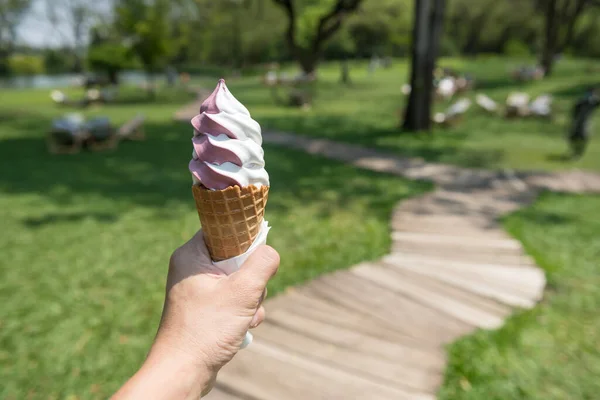 在室外咖啡馆和餐馆的春季公园里 两个色调的黑桑树和牛奶冰淇淋在华夫饼筒上吃 — 图库照片