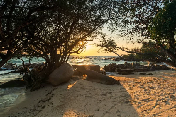 Sonnenaufgang Durch Steinbögen Und Mangrovenbäume Strand Von Man Klang Rayong — Stockfoto