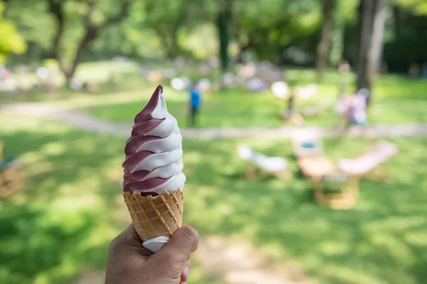 黒桑とミルクアイス2トーンソフトクリームオンワッフルコーン春の庭で食べる — ストック写真