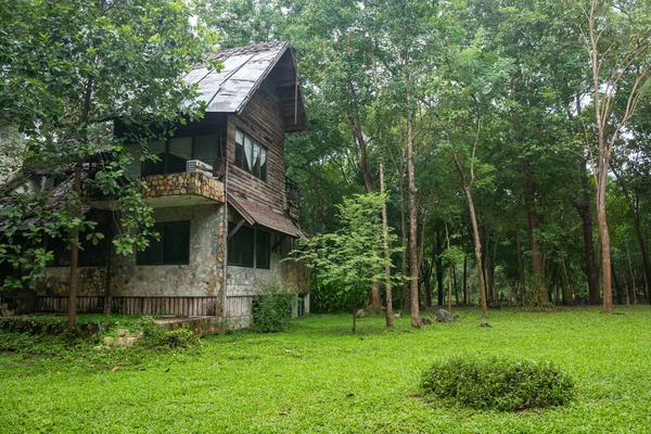 Старинный Большой Дом Лесу Зеленой Природой Жизнь Здоровой Атмосфере — стоковое фото