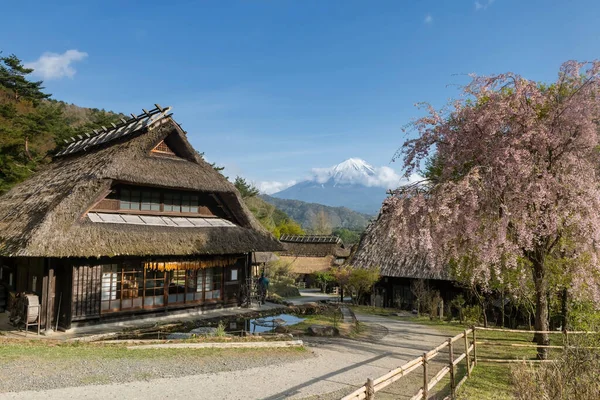 하우스 Farmer Thatch House 마을에는 벚꽃이나 사쿠라 Fuji Fujisan 야마나시의 — 스톡 사진