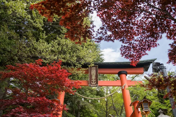 Porta Torii Santuário Arakura Sengen Com Folhas Folhagem Bordo Vermelho — Fotografia de Stock