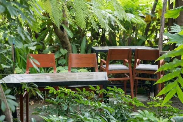 Kafe Restorandan Oluşan Tropikal Ağaç Bahçesinde Nautral Işıklı Sandalye Masa — Stok fotoğraf
