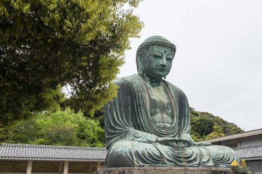 Kamakura Daibutsu büyük Buda heykeli ve yeşil yapraklı metin alanı, Kamakura Şehri, Kanagawa, Japonya. Meşhur seyahat yeri.