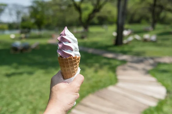 在室外咖啡馆和餐馆的春季公园里 两个色调的黑桑树和牛奶冰淇淋在华夫饼筒上吃 — 图库照片