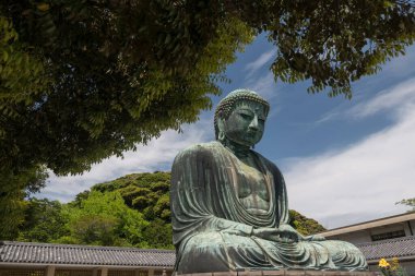 Kamakura Daibutsu büyük Buda heykeli mavi gökyüzüne ve beyaz buluta karşı, Kamakura Şehri, Kanagawa, Japonya. Meşhur seyahat yeri.
