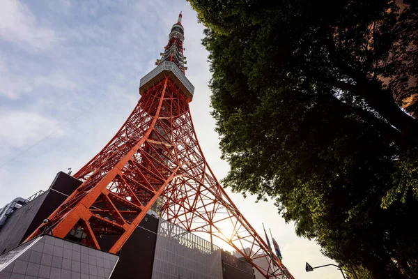 東京都港区の夕日に対する東京タワー 首都の有名な旅行先と観光名所 — ストック写真