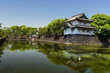 Tokyo, Japonya 'da su üzerinde yüzen kaz gölüyle çevrili İmparatorluk Sarayı kalesi.