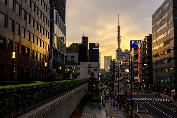 Tokio Japan Mai 2017 Menschen Gehen Entlang Der Straße Mit — Stockfoto