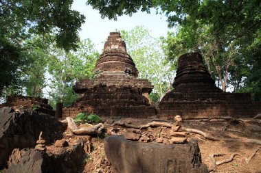 Sukhothai, Tayland 'da taş ve banyan ağacı kökü ve antik harabe tuğla tapınağı. Siyam 'ın ünlü seyahat yeri ve dünya mirası tarihi simgesi.