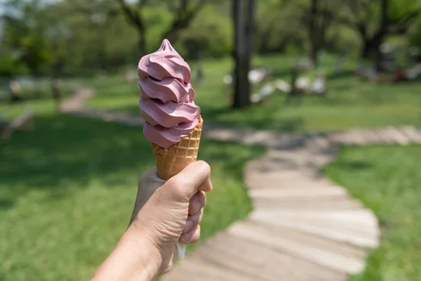 屋外カフェやレストランの春の公園で食べるワッフルコーン上の黒桑ミルクソフトクリーム — ストック写真