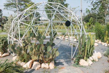 Kaktüs bitkileri güzel bir bahçeye kayalarla kurulmuş. Çiftlik endüstrisi