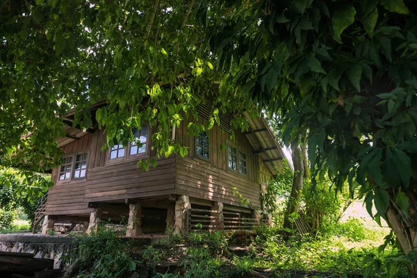 木や緑の葉に囲まれた木造タイの伝統的な家 — ストック写真