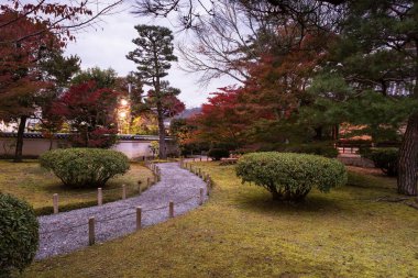 Uji Şehri, Kyoto, Japonya 'da sonbahar kırmızı yapraklı Byodo-in Budist tapınağı bahçesi..