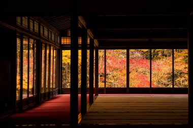 Japonya, Kyoto Nanzenji Tapınağı yakınlarındaki Tenju-an ya da Tenjuan Tapınağı 'nın ahşap binasının penceresinden renkli bir sonbahar yaprağı. Sonbahar mevsiminde Kansai 'de ünlü bir yere seyahat et.