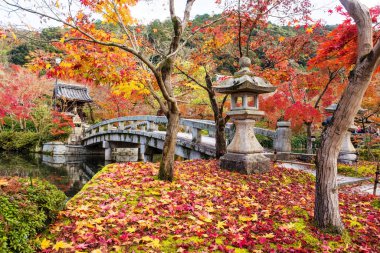 Eikando ya da Eikan-do Zenrinji köprüsü, Japonya 'nın Kyoto kentinde, sonbaharda doruk noktasında renkli akçaağaç yapraklı halıyla tapınak olarak kullanılacak. Güzel bahçeli güz yapraklarını görmek için ünlü bir yer..