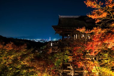 Kiyomizu-dera ahşap tapınağının manzarasını gece vakti renkli sonbahar akçaağaç yaprağıyla aydınlat ve mavi Kyoto şehri, Japonya. Sonbahar mevsiminde Kansai 'de ünlü bir seyahat merkezi..