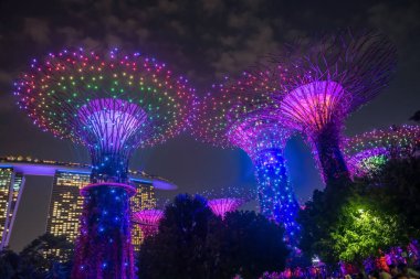 Supertree Grove Rhapsody, Singapur 'daki Garden' da ışık saçıyor. Ünlü seyahat yeri ve tatilci.