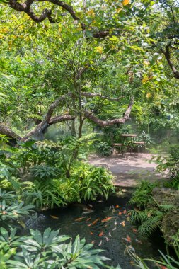 Lüks kafeterya ve restoranda sazan balığı ve yapay sis bulunan güzel bahçedeki masa ve sandalyelerin dikey görüntüsü..