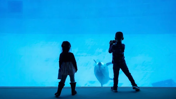 Asian brother and sister watch and photo swimming sea fish in Nagoya aquarium, Japan.