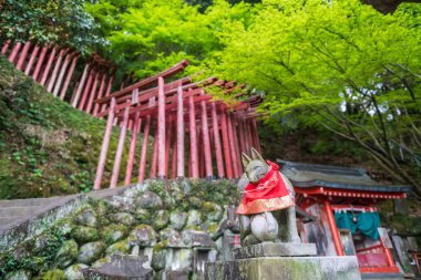 İlkbaharda Yutoku Inari Tapınağı 'nın kırmızı ahşap kapılarının önündeki Fox heykeli, Kashima, Saga, Japonya. Burada ünlü Inari tapınakları Kyoto 'da Fushimi Inari ve Aichi' de Toyokawa Inari ile birlikte..